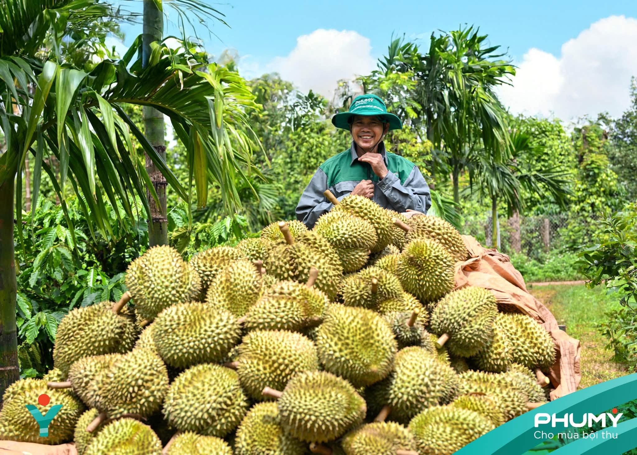 buc-anh-tham-gia-trien-lam-anh-nghe-thuat-nu-hoang-cua-dai-ngan-xanh-1786974434.jpg