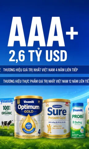 VNM còn hấp dẫn với nhà đầu tư dài hạn?