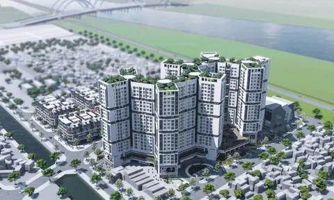 Cha con chủ tịch bị bắt, Đức Giang “lao dốc” lợi nhuận, dự án đất vàng Việt Hưng chưa thấy bóng dáng