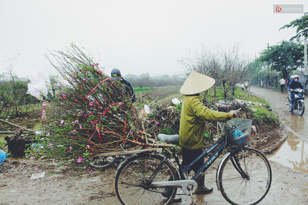 Nhiều nông dân chở hoa lên chợ Quảng Bá bán lẻ.
