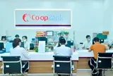 Co-opBank Thanh Hóa còn một số tồn tại, hạn chế về thẩm định, xét duyệt cấp tín dụng