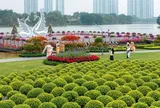 Ecopark tràn ngập sắc hoa các đại đô thị khắp 3 miền dịp Tết Bính Ngọ 2026