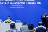 Y tế - Dược phẩm Việt Nam: Lợi nhuận tăng 450%, cổ phiếu vẫn chưa thoát cảnh báo