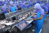 Vĩnh Hoàn mắc kẹt với cổ phiếu bất động sản