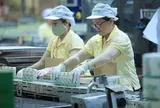 Chủ thương hiệu sữa đậu nành Vinasoy lãi gần 1.000 tỷ đồng, sắp chi hơn 367 tỷ đồng cổ tức