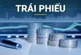 Đầu tư NƠXH Thuận Thành lỗ lũy kế hơn 204 tỷ đồng