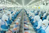 Một doanh nghiệp thủy sản chốt ngày tạm ứng cổ tức đợt 1/2026 bằng tiền mặt, tỷ lệ 8%