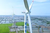 KOS giải trình 5 phiên giảm sàn, cập nhật diễn biến hoạt động kinh doanh