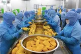 Antesco dự kiến thu 200 tỷ đồng từ cổ đông để “xoay nguồn” trả nợ