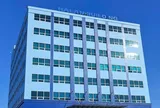 Xếp dỡ Hải An góp thêm 193 tỷ đồng vào liên doanh với Viconship