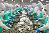DN đầu tiên báo lỗ quý II/2026:: Doanh thu 176 triệu đồng, vốn chủ sở hữu âm 512 tỷ