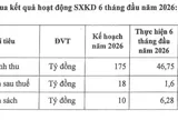 Licogi 14: Qua nửa đầu năm 2026 lợi nhuận chưa đạt 10% kế hoạch