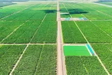 Nông nghiệp Trường Hải: Lãi tăng gấp 6 lần, vốn chủ sở hữu vượt 17.000 tỷ