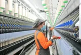 Buồn của Sợi Thế Kỷ: Kinh doanh thụt lùi, cổ phiếu thủng đáy 5 năm