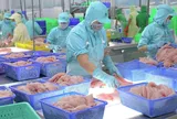 'Nữ hoàng' cá tra hụt hơi lợi nhuận, chưa thể 'cắt lỗ' cổ phiếu BĐS