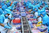 Hai chiều lợi nhuận DN thủy sản: Người hụt hơi, kẻ bứt tốc