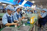 'Không thể ứng xử với DN ngừng hoạt động như DN trốn thuế'