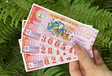 Những chính sách mới có hiệu lực từ tháng 11/2026