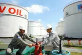 Cổ phiếu OIL 'tím lịm', thanh khoản cao nhất mọi thời đại
