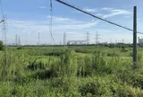 Từ 2026, những vi phạm đất đai có thể bị xử lý hình sự