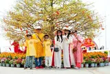 Những khoảnh khắc đưa Cần Giờ “chiếm sóng” mùa Valentine và Tết đoàn viên