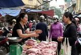 Giá heo hơi hôm nay 15/2: Miền Nam thấp nhất 70.000 đồng/kg