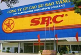 Cổ đông không chịu tăng vốn, Cao su Sao Vàng lấy tiền đâu đầu tư BĐS 'đất vàng' 231 Nguyễn Trãi?