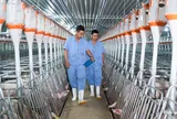 BAF Việt Nam (BAF) dòng tiền kinh doanh quý I âm hơn 300 tỷ đồng, bỏ 810 tỷ để lập 4 công ty con tại Hà Nội