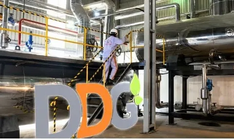 Xuất nhập khẩu Đông Dương (DDG) tổ chức ĐHĐCĐ bất thành, quý I/2026 lỗ gần 87 tỷ đồng