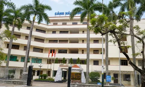 Nhóm DN cảng 'ăn nên làm ra', VIMC nhận 'mưa tiền' cổ tức từ các công ty con