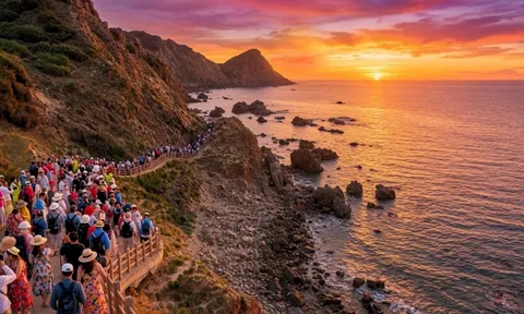 Chỉ từ 2,648 triệu đồng, bay đến Quy Nhơn ngắm đêm pháo hoa đầu tiên bên bờ Eo Gió