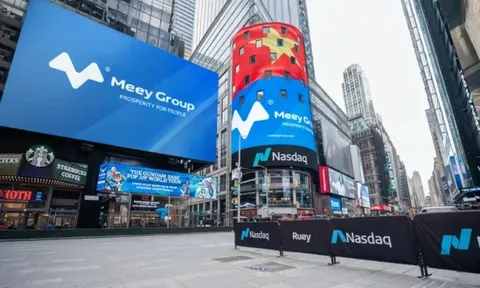Meey Global nộp hồ sơ IPO tại Mỹ: Bức tranh tài chính của doanh nghiệp vận hành hệ sinh thái ra sao?