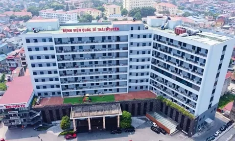 Tập đoàn Bệnh viện TNH lỗ quý thứ 6 liên tiếp, cổ phiếu giảm về đáy lịch sử giữa áp lực nợ vay gần 1.200 tỷ đồng