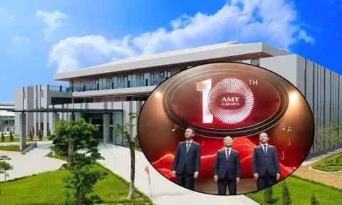 IPO cổ phiếu giá gần 49.000 đồng: AMY GRUPO do ai sở hữu, kinh doanh thế nào?