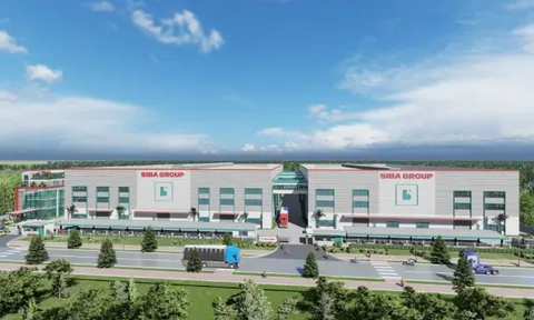 Siba Group (SBG) muốn huy động 200 tỷ đồng qua phát hành riêng lẻ, dành phần lớn để trả nợ nhà cung cấp