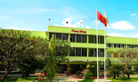Rạng Đông Holding (RDP) rời UPCoM từ ngày 17/7, báo lỗ 65 tỷ đồng trước khi chuỗi công bố thông tin đứt đoạn
