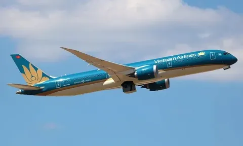 Cổ phiếu HVN của Vietnam Airlines được gỡ hạn chế giao dịch