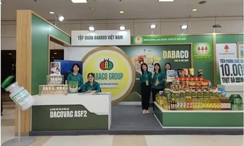 Người nhà thành viên Ban kiểm soát Dabaco (DBC) muốn mua thêm cổ phiếu khi thị giá giảm, lợi nhuận quý I/2026 đi lùi