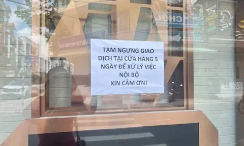 Kimberly Diamond, Cao Hùng, Hồng Phúc đồng loạt tạm ngưng giao dịch