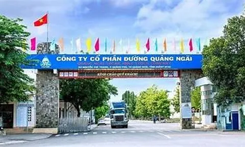 Đường Quảng Ngãi (QNS) nâng vốn dự án điện sinh khối lên hơn 1.500 tỷ đồng, nợ vay ngắn hạn đã vượt 3.400 tỷ đồng