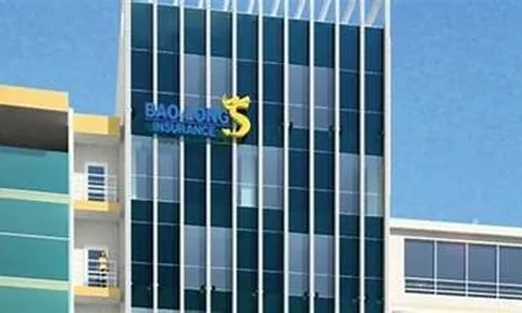 Bảo hiểm Bảo Long (BLI) lợi nhuận nửa đầu năm giảm gần 17%, khoản phải thu bảo hiểm tăng hơn 70 tỷ đồng