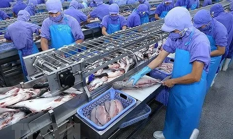 Vĩnh Hoàn mắc kẹt với cổ phiếu bất động sản