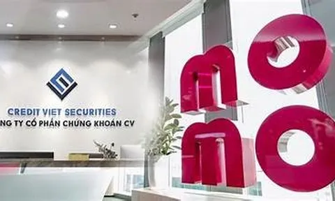 Công ty chứng khoán 'chung nhà' với MoMo lỗ quý II hơn 31 tỷ đồng, lỗ lũy kế gần 181 tỷ đồng