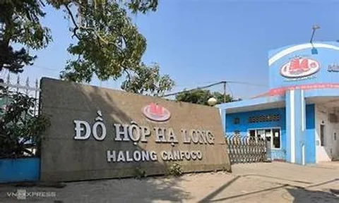 Đồ hộp Hạ Long (CAN) báo lỗ gần 16 tỷ đồng, tài sản giảm gần 120 tỷ sau nửa năm