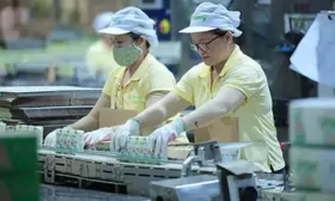 Chủ thương hiệu sữa đậu nành Vinasoy lãi gần 1.000 tỷ đồng, sắp chi hơn 367 tỷ đồng cổ tức