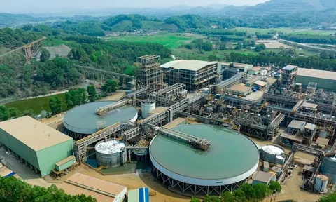 MSR dự kiến chia cổ tức tiền mặt khi tiến độ giảm đòn bẩy vượt kế hoạch