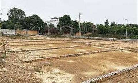 HoREA cảnh báo chiêu 'phân lô bán nền' núp bóng tách thửa, người mua đất ngoài dự án dễ gặp rủi ro