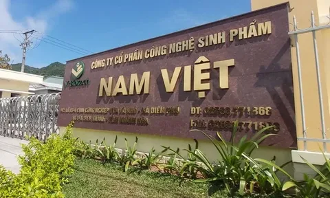 Lãnh đạo Nam Việt đã mua vào 1 triệu cổ phiếu ANV
