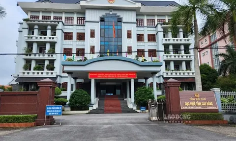 Công ty TNHH Đầu tư và Phát triển năng lượng Đông Bắc và nhiều doanh nghiệp Cao Bằng nợ thuế