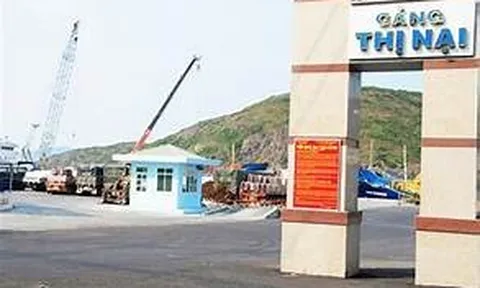 Cảng Thị Nại (TNP) sắp chi hơn 18 tỷ đồng trả cổ tức, nợ ngắn hạn cuối năm 2025 tăng gần 130%